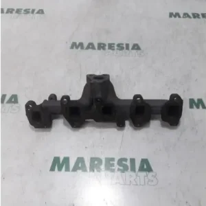 Betrouwbaar Uitlaatspruitstuk FIAT DOBLO Cargo (263_)