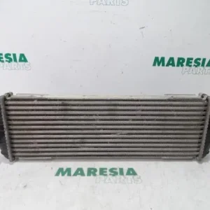 Shop Nu Interkoeler tussenkoeler RENAULT Trafic II Kasten (FL)