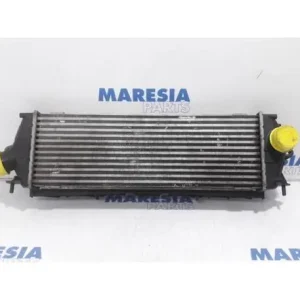 Groothandel Interkoeler tussenkoeler RENAULT Trafic II Kasten (FL)