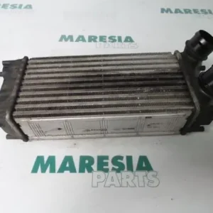 Interkoeler tussenkoeler CITROËN BERLINGO Box Body/MPV (B9), CITROËN BERLINGO Platform/Chassis (B9) Bestseller