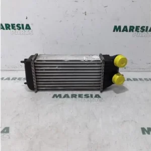 Gratis Verzending Interkoeler tussenkoeler CITROËN Jumpy Kasten (--)