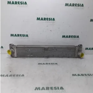 Direct Verzonden Interkoeler tussenkoeler FIAT Ducato Kasten (250, 290)