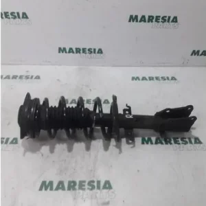 Veerpoot RENAULT KANGOO Express (FW0/1_) Direct Verzonden