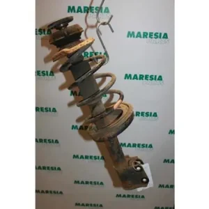 Rechtstreeks Van De Fabrikant Veerpoot RENAULT KANGOO Express (FC0/1_)