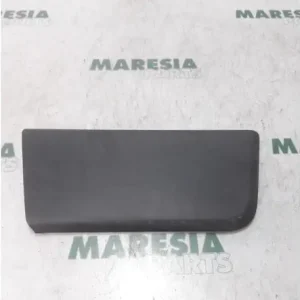 Snelle Levering Sierpaneel deur FIAT Ducato Kasten (250, 290)