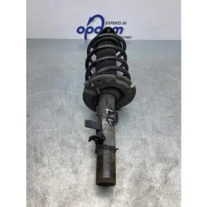 Koop Online Veerpoot FORD C-MAX II (DXA/CB7, DXA/CEU)