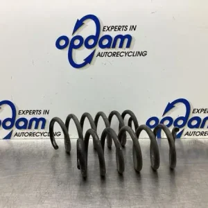 Chassisveer RENAULT CLIO IV (BH_), RENAULT CAPTUR I (J5_, H5_), RENAULT CLIO III (BR0/1, CR0/1) Ambachtelijk