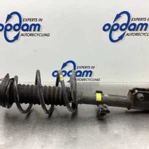 Veerpoot RENAULT CAPTUR I (J5_, H5_), RENAULT CLIO IV (BH_) Laatste Kans