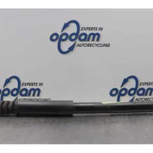 Uitverkoop Schokdemper DACIA SANDERO, DACIA SANDERO II