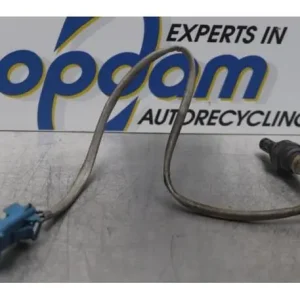 Topkwaliteit Lambdasonde / NOx Sensor PEUGEOT 206 SW (2E/K)