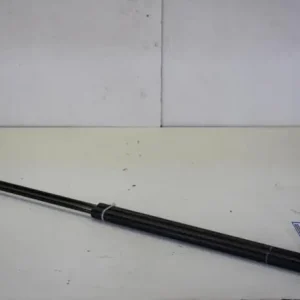 Gasveer kofferruimte FIAT DOBLO MPV (119_, 223_), FIAT DOBLO Box Body/MPV (223_) Must-Have