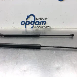 Gasveer kofferruimte PEUGEOT 207 (WA_, WC_) Populair