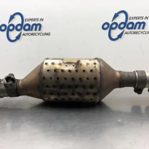 Partikelfilter (Roetfilter) SEAT ALTEA (5P1), SEAT ALTEA XL (5P5, 5P8), SEAT TOLEDO III (5P2) Snelle Levering