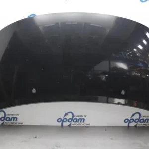 Actieprijs Motorkap PEUGEOT 207 (WA_, WC_)