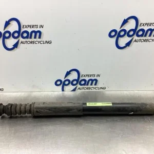 Finale Uitverkoop Schokdemper RENAULT CLIO III (BR0/1, CR0/1), RENAULT CLIO IV (BH_)