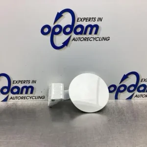 Tankklep KIA PICANTO (JA), KIA PICANTO (TA) In De Mode