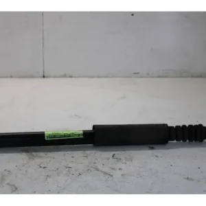 Premium Schokdemper RENAULT CLIO III (BR0/1, CR0/1)