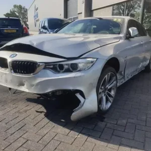 Goedkoop Brandstofreservoir BMW 4 Gran Coupe (F36)