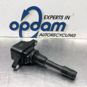 Professioneel Bobine RENAULT SCÉNIC III (JZ0/1_), RENAULT GRAND SCÉNIC III (JZ0/1_)