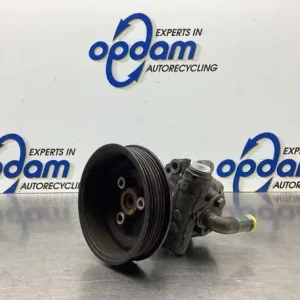 Koop Online Stuurbekrachtigingspomp VW GOLF IV (1J1)