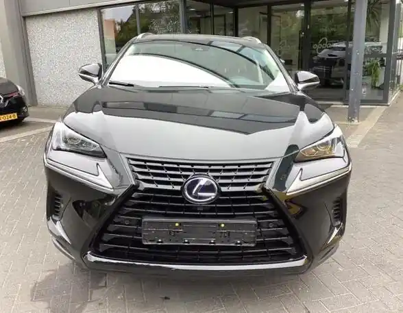 Asaandrijving LEXUS NX (_Z1_) Must-Have