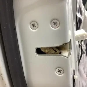 Lage Kosten Motorkapkabel HONDA CIVIC VIII Saloon (FD, FA), HONDA CIVIC VII Saloon (ES, ET)