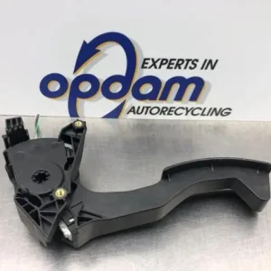 Gaspedaal RENAULT TWINGO III (BCM_, BCA_) Plaats Bestelling