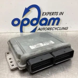 Topkwaliteit Regeleenheid motoregeling RENAULT KANGOO (KC0/1_)