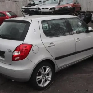 Nieuw Tankklep SKODA FABIA II (542)