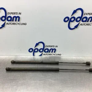 Limited Edition Gasveer kofferruimte SMART FORFOUR (454)