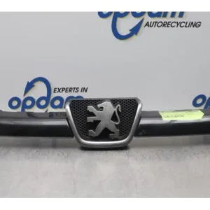 Seizoensaanbieding Radiateurgrille PEUGEOT 206 Hatchback (2A/C), PEUGEOT 206 Saloon, PEUGEOT 206 SW (2E/K)