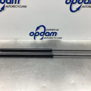 Gasveer kofferruimte CITROËN XSARA PICASSO (N68) Lage Kosten