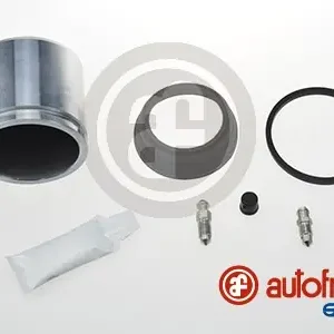 Handgemaakt Remklauw revisie Autofren Seinsa D42555C