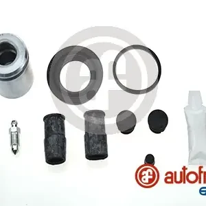 Veilige Betaling Remklauw revisie Autofren Seinsa D42589C