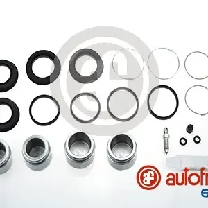 Remklauw revisie Autofren Seinsa D42667C In De Mode