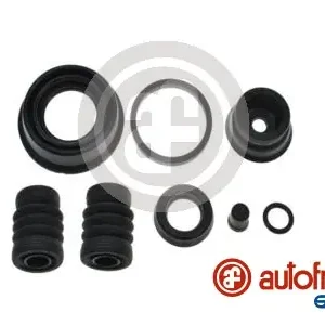 Professioneel Remklauw revisie Autofren Seinsa D42701