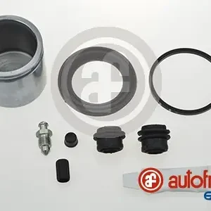 Veilige Betaling Remklauw revisie Autofren Seinsa D42738C