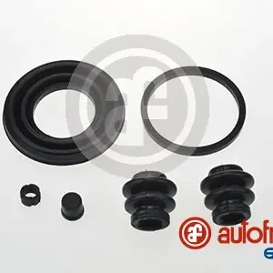 Ambachtelijk Remklauw revisie Autofren Seinsa D42741