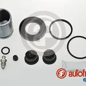 Remklauw revisie Autofren Seinsa D42769C Modern