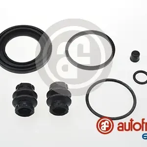 Lage Prijs Remklauw revisie Autofren Seinsa D42779