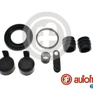 Topkwaliteit Remklauw revisie Autofren Seinsa D42974