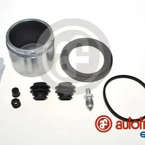 Finale Uitverkoop Remklauw revisie Autofren Seinsa D43006C