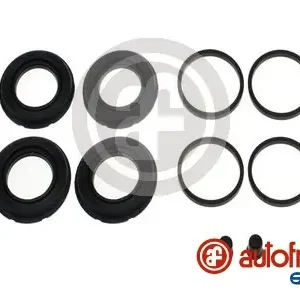 Laatste Versie Remklauw revisie Autofren Seinsa D43034