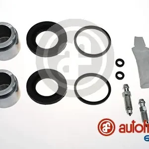 Meest Verkocht Remklauw revisie Autofren Seinsa D43079C