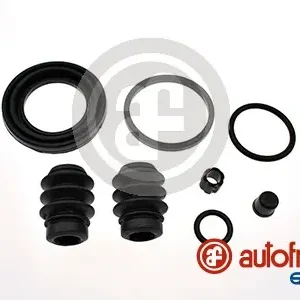 Laatste Kans Remklauw revisie Autofren Seinsa D43139