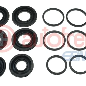 Betrouwbaar Remklauw revisie Autofren Seinsa D43207