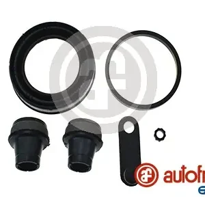 Modern Remklauw revisie Autofren Seinsa D4325