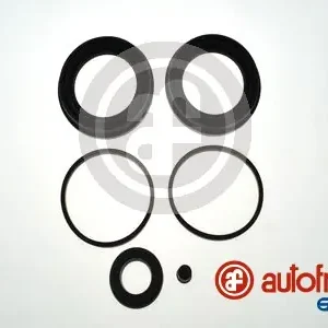 Professioneel Remklauw revisie Autofren Seinsa D4352