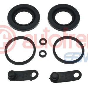 Speciale Aanbieding Remklauw revisie Autofren Seinsa D43640