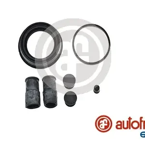 Finale Uitverkoop Remklauw revisie Autofren Seinsa D4365